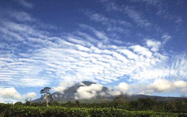 Gunung Dempo Gunung Dempo di Kota Pagaralam, Sumsel. (Foto: Ist)