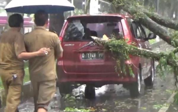 Hujan Badai Terjang Ciamis, 3 Mobil Rusak Tertimpa Pohon Tumbang