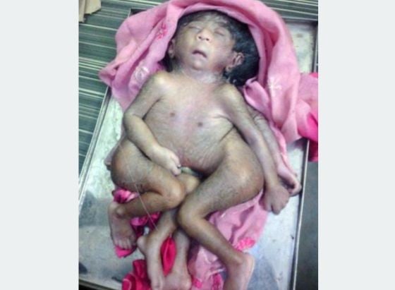 Bocah Titisan Dewa 4 Kaki Caters Tangkapan layar Double O Sorong mengkonfirmasi kematian DJ Indah Cleo