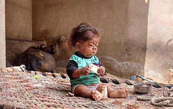 Bocah Titisan Dewa Manprett Newsllons Media Tangkapan layar Double O Sorong mengkonfirmasi kematian DJ Indah Cleo