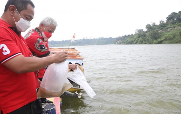 Semakin Mesra, Ganjar dan Kader PDIP Tebar Benih Ikan Bantuan Megawati
