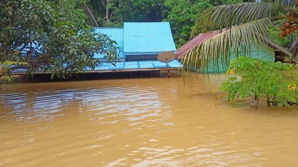 Kerugian Banjir Bandang yang Terjang Mukomuko Capai Rp150 Miliar