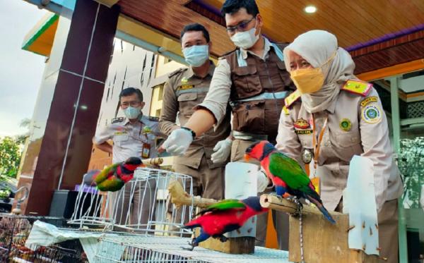 Ratusan satwa dibawa ke Karantina sesaat setelah diamankan. (Foto: Karantina Surabaya).