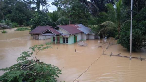 Banjir terbesar sepanjang sejarah, salah satunya di Kalimantan Barat. (Foto: BPBD Sintang )