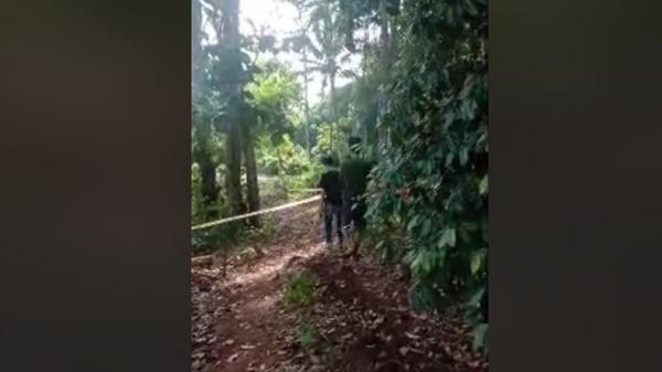 Warga Kecamatan Rajabasa Lama, Lampung Timur geger. Mereka menemukan mayat bocah di perkebunan (Istimewa)
