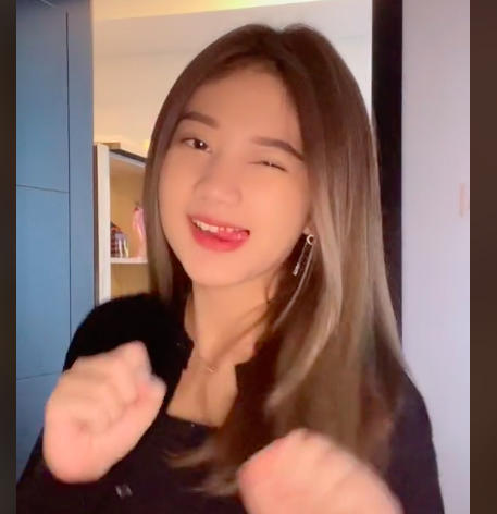 Artis Tiktok Indonesia dengan Followers Terbanyak. (Foto: TikTok)