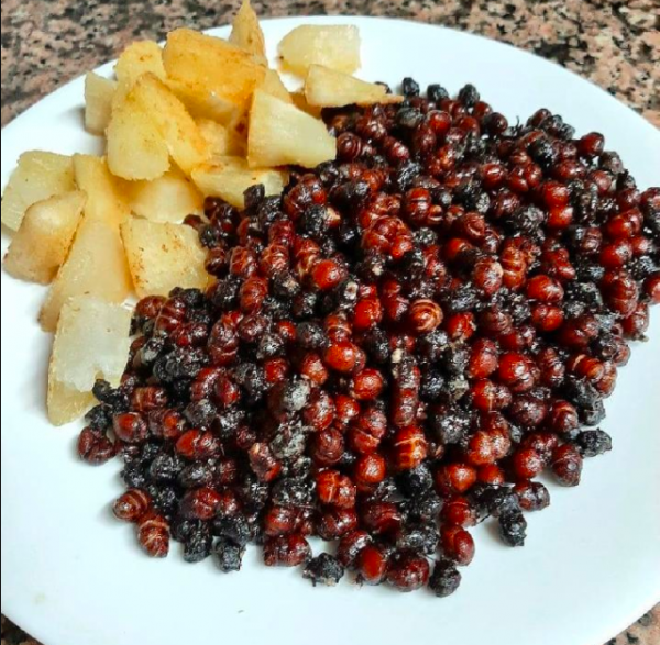 Screen Shot 2022 03 06 At 14 10 41 Makanan Paling Ekstrem di Dunia. (Foto: istimewa)