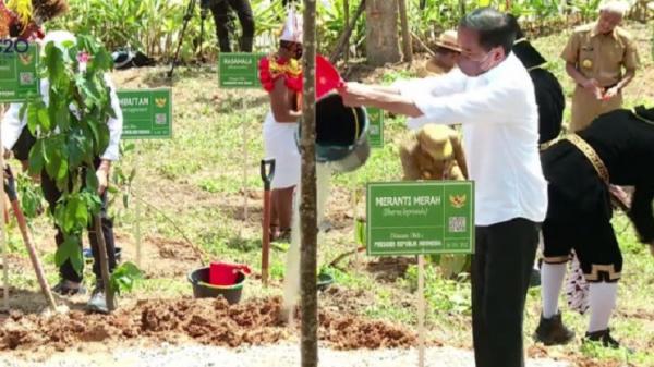 Hari Lingkungan Hidup Sedunia, Jokowi : Setiap Orang Punya Andil Menyelamatkan Bumi