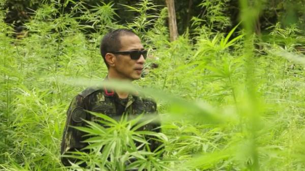 Direktur Narkotika Deputi Pemberantasan BNN, Brigjen Pol Roy Hardi Siahaan (Syukri Syarifuddin/MNC Portal))