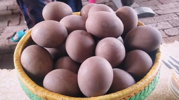 Telur Asin Rempah Indramayu Tembus Pasar Mancanegara, Begini Cara Buatnya