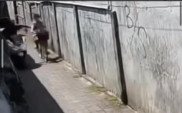 Tangkapan Layar Begal Payudara Denpasar Tangkapan Layar Begal Payudara di Denpasar. (@bali.viral)