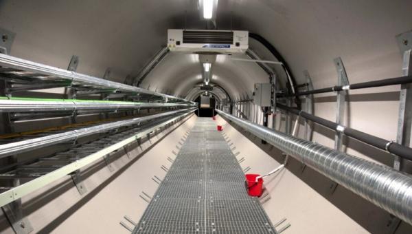 Svalbard Fakta unik brankas benih dunia Svalbard, salah satunya mampu menampung miliaran benih. (Foto: seedvault.no)