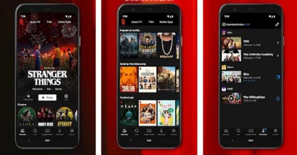 Rave netflix online apk