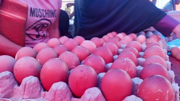 Permintaan Tinggi, Harga Telur Ayam di Gorontalo Utara Naik