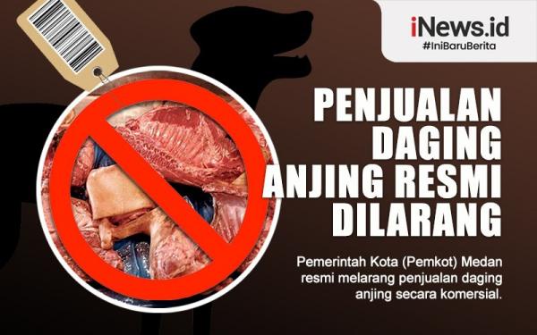Infografis Daging Anjing Dilarang Diperjualbelikan di Medan