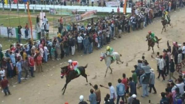 Junjung Kearifan Lokal, 23 Nagari di 3 Wilayah Sumbar Kompak Gelar Pacuan Kuda