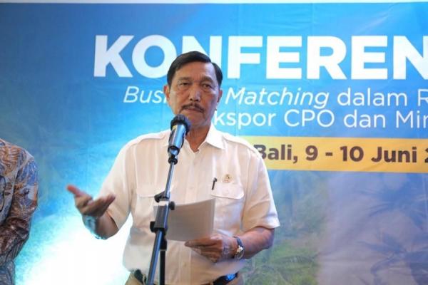 Menko Marves Luhut Binsar Pandjaitan. (Foto: Kemenko Marves)