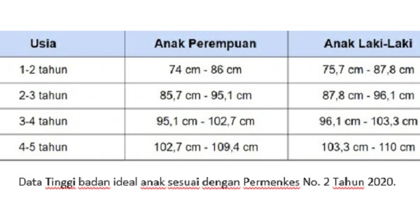 Tinggi Badan Ideal Anak Tinggi Badan Ideal Anak