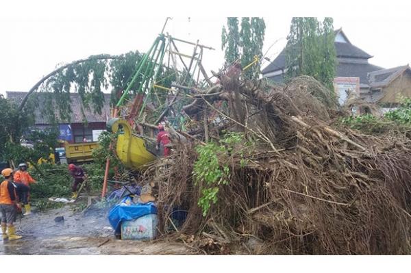 Hujan Angin Terjang Sleman, Pohon Beringin Di Denggung Roboh Dan Timpa ...