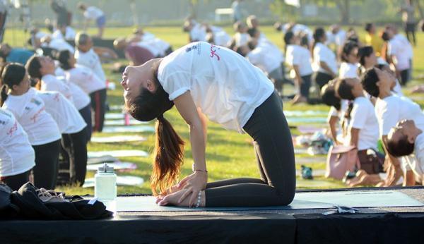 Olahraga yang cocok untuk penderita asam urat, Yoga Olahraga yang cocok untuk penderita asam urat, Yoga (Antara)