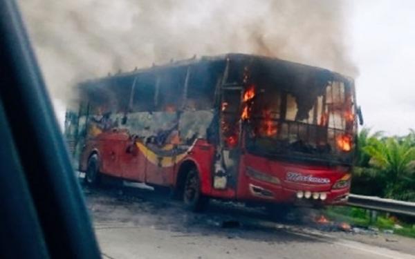 Bus Makmur Terbakar di Tol Trans Sumatera, Kursi Penumpang Meleleh