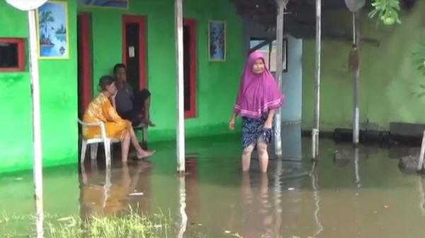 Banjir Di Pekalongan Tak Kunjung Surut Warga Kesulitan Memenuhi Kebutuhan