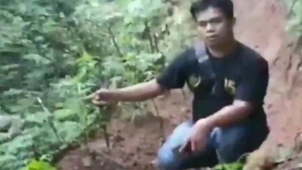 Sepenggal Cerita Perjuangan Polisi Ungkap Ladang Ganja di Gunung Karuhun Sukabumi-Cianjur