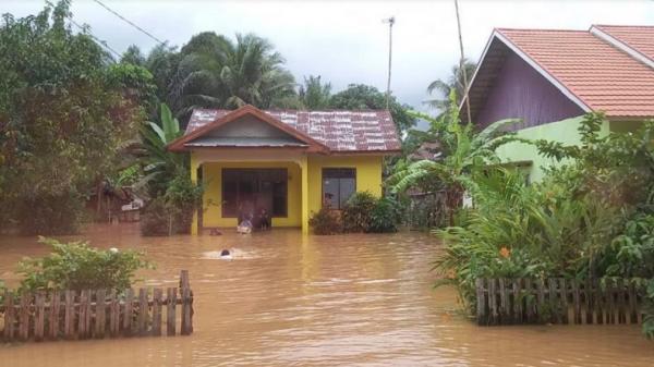 Banjir Bengkulu Kian Meluas, 4.550 Warga Terdampak di 4 Kabupaten Kota