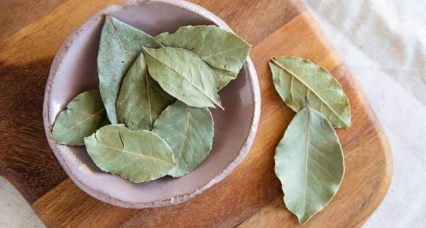 Daun Salam Manfaat Daun Salam (Foto: rctiplus)