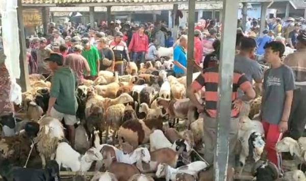 Suasana pasar hewan Karangpucung Cilacap menjelang hari raya Idul Adha. (Heri Susanto)