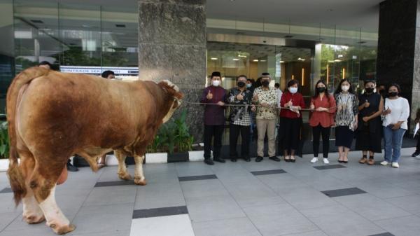 Acara serah terima hewan kurban ini diberikan langsung oleh Ketua MNC Peduli Jessica Tanoesoedibjo kepada Wakil Menteri Ekonomi dan Kreatif Angela Tanoesoedibjo. (Foto: Siska)