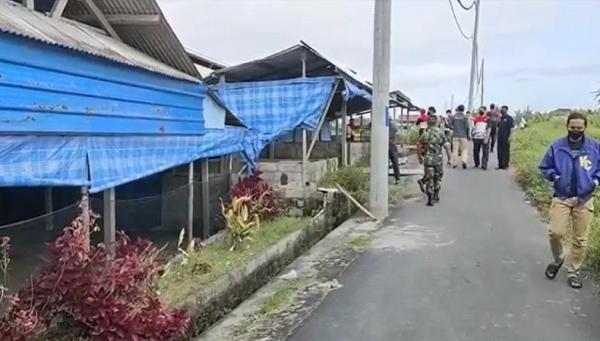 Kandang Babi Gianyar Ratusan ekor babi mati dekat lokasi sapi terinfeksi PMK di Gianyar. (Foto: iNews/Ketut Catur)