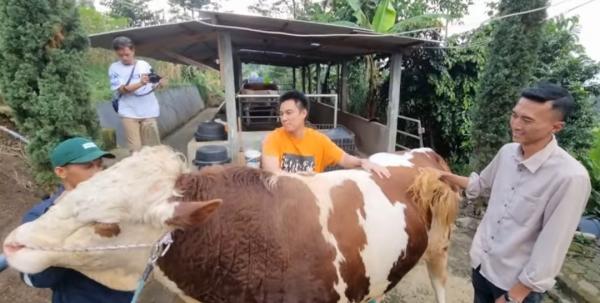 Deretan artis berkurban di Iduladha 2022. (Foto: instagram)