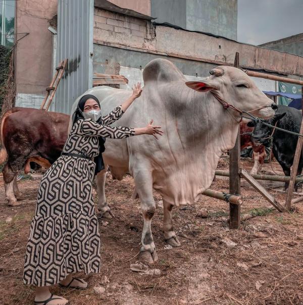 Deretan artis berkurban di Iduladha 2022. (Foto: instagram)