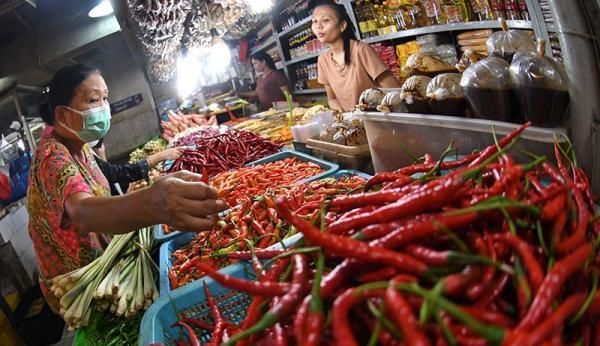 Harga Cabai Rawit Merah Melambung Tembus Rp50.250 Per Kg, Ini Solusi NFA