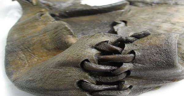 Ilmuwan Temukan Artefak Unik dari Pegunungan Norwegia, Ada Mumi Burung Berusia 4.000 Tahun