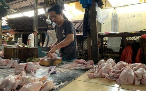 Harga Daging Ayam di Medan Merosot usai Idul Adha, Dijual Rp26.000 per Kg