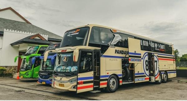 Perbedaan Bus Ekonomi, Patas, Eksekutif Dan Sleeper, Ini Yang Ada ...