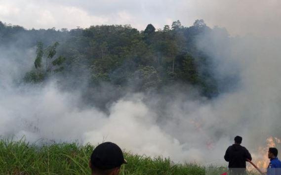Kebakaran Lahan Landa 3 Daerah di Aceh, BMKG Deteksi 22 Titik Panas