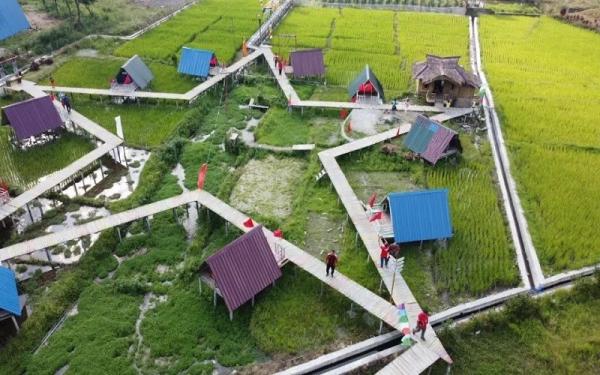 Wisata Pamah Simelir Langkat Sumut, Wisata Tidur Sawah Pamah Simelir (Foto: Instagram/Wisata Tidur Sawah Pamah Simelir)