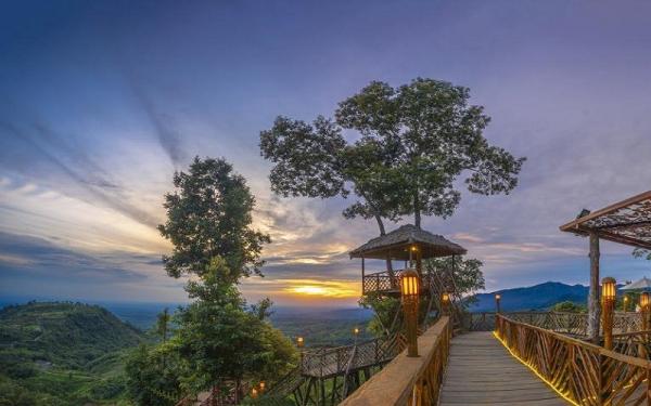 Wisata Pamah Simelir Langkat Sumut, Rumah pohon habitat (Foto: Instagram/Rumahpohonhabitat)