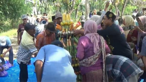gunungan sedekah bumi Warga berebut gunungan hasil bumi. (Pipiet Wibawanto).