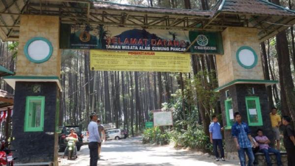 Gunung Pancar Sentul City Wisata Alam Gunung Pancar Sentul merupakan wisata alam yang berada di Bogor, Jawa Barat. (Foto: sentul.city).
