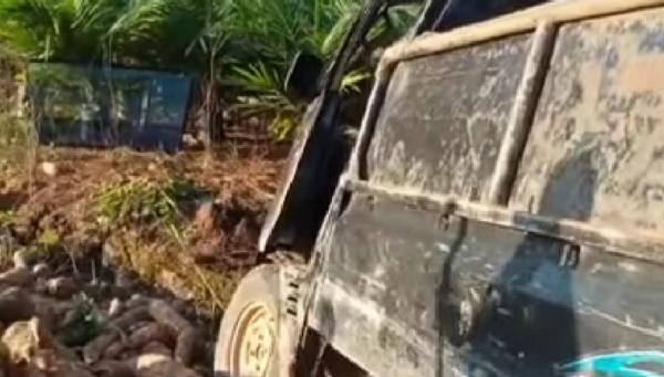Pikap pengangkut singkong terlibat kecelakaan. (Foto: Ist)