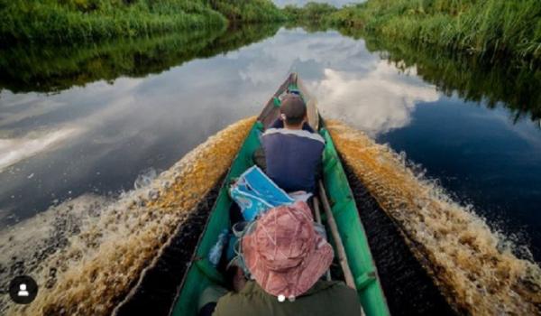 Taman Nasional di Kalimantan Tengah, Taman Nasional Sebangau (Foto
