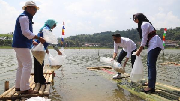 Gubernur Jabar Ridwan Kamil, Atalia Praratya, plt Bupati Bandung Barat Hengki Kurniawan, dan Sonya Fatmala, menebar benih ikan di Situ Ciburuy. (FOTO: ADI HARYANTO)