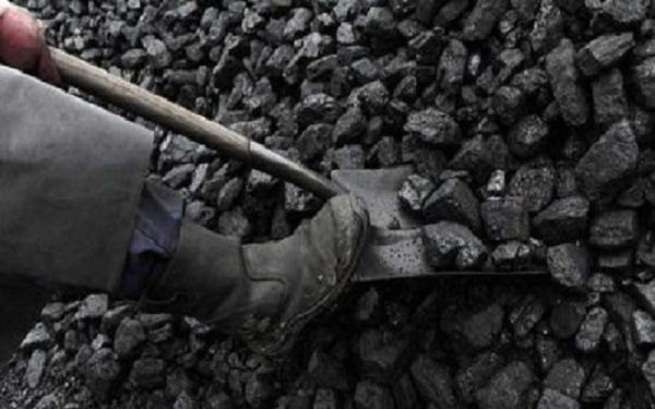 5 Daerah Penghasil Batu Bara Terbesar di Indonesia
