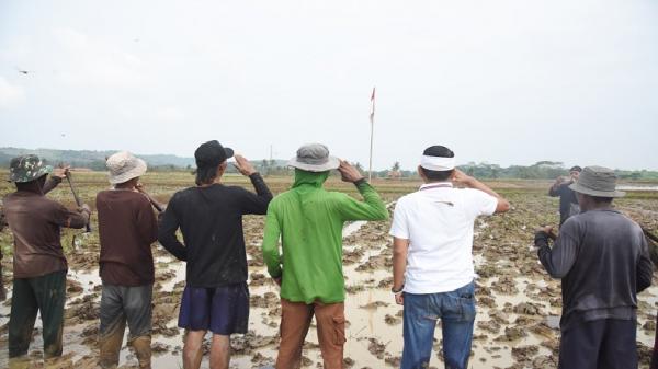 3 Tahun Indonesia Tak Impor Beras, Dedi Mulyadi-Petani Subang Kibarkan Bendera di Tengah Sawah