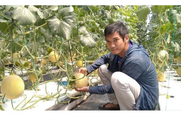 Menginspirasi, Petani Muda Ini Sukses Kembangkan Melon dengan Sistem Hidroponik