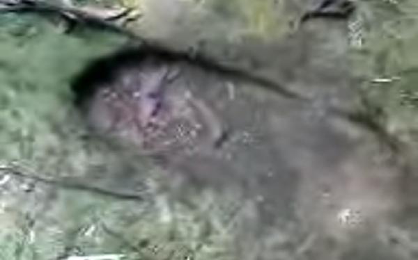 Telapak kaki Datok Kullup di Bukit Piantus. (Foto: Ist)